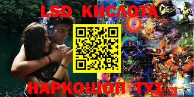 крисы Кимры