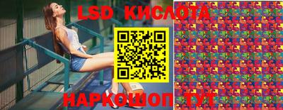ГАЛЛЮЦИНОГЕННЫЕ ГРИБЫ Кингисепп